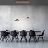 Oświetlenie Paul Neuhaus Moon Lampa wisząca LED Brązowy, 4-punktowe