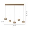 Oświetlenie Paul Neuhaus Rings Lampa wisząca LED Brązowy, Chrom, 5-punktowe, Zdalne sterowanie