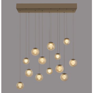Oświetlenie Paul Neuhaus Popup Lampa wisząca LED Brązowy, 13-punktowe, Zdalne sterowanie