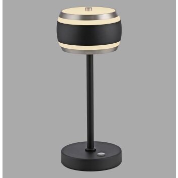 Oświetlenie Paul Neuhaus Rings Lampa stołowa LED Czarny, Przezroczysty, 1-punktowy