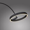 Oświetlenie Paul Neuhaus Loop-Bow Lampa stojąca LED Czarny, 2-punktowe