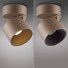 Oświetlenie Paul Neuhaus Cup Lampa sufitowa LED Brązowy, 1-punktowy