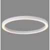 Oświetlenie Paul Neuhaus Round Lampa sufitowa LED Biały, 1-punktowy, Zdalne sterowanie