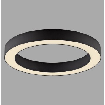 Oświetlenie Paul Neuhaus Round Lampa sufitowa LED Szary, 1-punktowy, Zdalne sterowanie