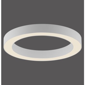 Oświetlenie Paul Neuhaus Round Lampa sufitowa LED Biały, 1-punktowy, Zdalne sterowanie