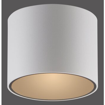 Oświetlenie Paul Neuhaus Point Lampa sufitowa LED Biały, 1-punktowy