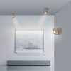 Oświetlenie Paul Neuhaus Oculis Lampa sufitowa LED Brązowy, 1-punktowy