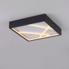 Oświetlenie Leuchten Direkt MIKADO Lampa sufitowa LED Czarny, 1-punktowy