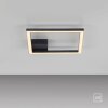 Oświetlenie Leuchten Direkt IVEN Lampa sufitowa LED Czarny, 1-punktowy