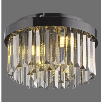 Oświetlenie Leuchten Direkt KULUNKA Żyrandol LED Czarny, 4-punktowe