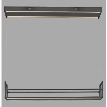 Oświetlenie Leuchten Direkt SONTURA Lampa wisząca LED Czarny, 2-punktowe