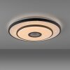 Oświetlenie Leuchten Direkt TURANUS Lampa sufitowa LED Czarny, 1-punktowy