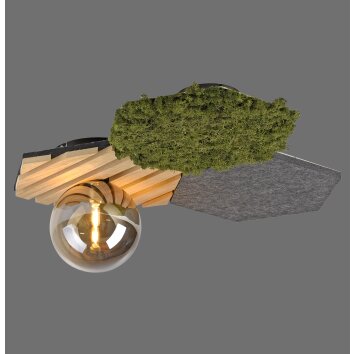 Oświetlenie Leuchten Direkt HEX Lampa sufitowa LED Szary, Zielony, 1-punktowy