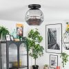 Ripoll lampa sufitowa, kula świetlna przydymiony, 1-punktowy