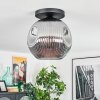 Ripoll lampa sufitowa, kula świetlna przydymiony, 1-punktowy