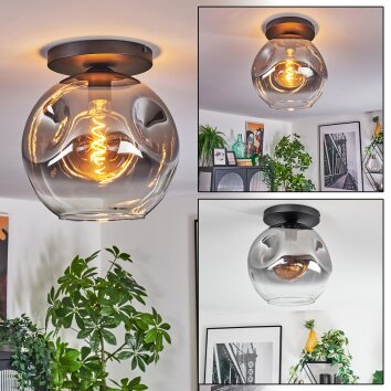 Ripoll lampa sufitowa, kula świetlna przezroczysty, przydymiony, 1-punktowy