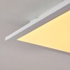 Nexo Lampa Sufitowa LED Biały, 1-punktowy, Zdalne sterowanie