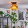 Ripoll lampa sufitowa, kula świetlna złoty, przezroczysty, 1-punktowy