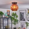 Ripoll lampa sufitowa, kula świetlna miedziany, 1-punktowy