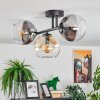 Koyoto lampa sufitowa, kula świetlna bursztynowy, przezroczysty, przydymiony, 3-punktowe