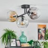 Ripoll lampa sufitowa, kula świetlna bursztynowy, przezroczysty, przydymiony, 3-punktowe