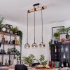 Ripoll lampa wisząca, kula świetlna, lampa wisząca kolory naturalne, czarny, 3-punktowe
