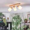 Fallhagen Lampa sufitowa, Spot sufitowy Chrom, Jasne drewno, 3-punktowe