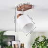 Fallhagen lampa sufitowa, spot sufitowy chrom, ciemne drewno, 1-punktowy