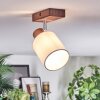 Fallhagen lampa sufitowa, spot sufitowy chrom, ciemne drewno, 1-punktowy