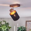 Fallhagen Lampa sufitowa, Spot sufitowy Chrom, Ciemne drewno, 1-punktowy