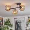 Ripoll lampa sufitowa, kula świetlna bursztynowy, 3-punktowe