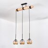 Ripoll lampa wisząca, kula świetlna, lampa wisząca kolory naturalne, czarny, 3-punktowe