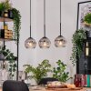 Ripoll lampa wisząca, kula świetlna, lampa wisząca kolory naturalne, czarny, 3-punktowe
