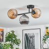 Ripoll lampa sufitowa, kula świetlna bursztynowy, przydymiony, 3-punktowe