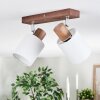 Fallhagen Lampa sufitowa, Spot sufitowy Chrom, Ciemne drewno, 2-punktowe