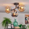 Ripoll lampa sufitowa, kula świetlna bursztynowy, przydymiony, 3-punktowe