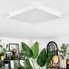Raimea Lampa sufitowa, Panel LED Biały, 1-punktowy