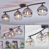 Koyoto lampa sufitowa, kula świetlna przezroczysty, przydymiony, 4-punktowe