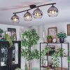 Koyoto lampa sufitowa, kula świetlna przezroczysty, przydymiony, 4-punktowe