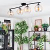 Koyoto lampa sufitowa, kula świetlna bursztynowy, przezroczysty, 4-punktowe