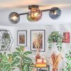 Chehalis lampa sufitowa, kula świetlna niebeieski, zielony, przezroczysty, miedziany, 4-punktowe