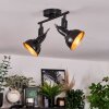 Toren Lampa sufitowa, Spot sufitowy Chrom, Czarny, 2-punktowe