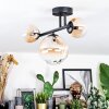 Chehalis Lampa sufitowa, Kula świetlna W kolorze bursztynu, Przezroczysty, 3-punktowe