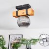 Sernadelo lampa sufitowa, kula świetlna kolory naturalne, czarny, 1-punktowy