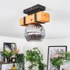 Sernadelo lampa sufitowa, kula świetlna kolory naturalne, czarny, 1-punktowy