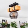 Sernadelo lampa sufitowa, kula świetlna kolory naturalne, czarny, 1-punktowy