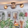 Chehalis lampa sufitowa, kula świetlna bursztynowy, przydymiony, 4-punktowe