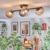 Chehalis lampa sufitowa, kula świetlna bursztynowy, przezroczysty, przydymiony, 4-punktowe