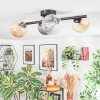 Chehalis lampa sufitowa, kula świetlna bursztynowy, przezroczysty, przydymiony, 4-punktowe