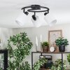 Fallhagen Lampa sufitowa, Spot sufitowy Czarny, 3-punktowe